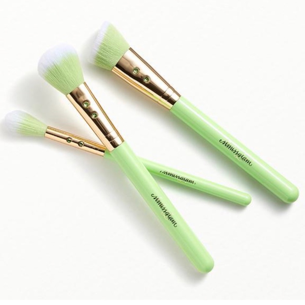 3 Piece Face Makeup Brushes